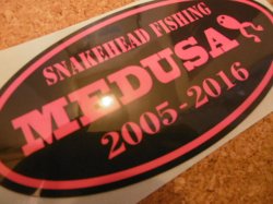 画像1: 2016 MEDUSA ステッカー