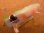 画像2: サラルアー サラペン 45 45mm 5g フローティング カラー：グリーンバックホワイトオレンジスポット (2)