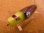画像2: サラルアー サラペン 45 45mm 5g フローティング カラー：イエローヘッドマジョーラ (2)
