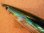 画像3: マニュファクチャー ナリマン 秋刀SP4 230mm 120g フローティング カラー：ブルーバックブラックアイ (3)