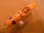 画像1: サラルアー サラペン70スリム 70mm 7g フローティング　カラー：オレンジバック＆ベリーイエローホロ (1)