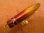 画像1: サラルアー サラペン70スリム 70mm 7g フローティング　カラー：レッドヘッドゴールドホロ (1)