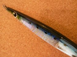 画像3: ツダジグ バスター 200 183mm 200g カラー：背黒イワシ