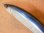 画像3: ARUMOMIS ドルフィン 225 225mm 110g フローティング カラー：ディープブルーホログラム (3)
