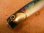 画像2: 車谷ルアー クルペン F180 Dagger 180mm 75g フローティングモデル カラー：銀箔イワシ (2)