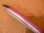 画像4: 【魚じゃらし工房】Mare(マレ) 180 180mm40g  フローティングモデル カラー：ピンクバックホロ (4)