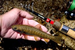 画像13: HUERCO TT505-ST 