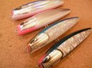 画像: 【ネイチャーボーイズ】フクロウ 200F 入荷致しました。