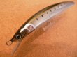 画像1: 魚じゃらし工房 Musya170 170mm 50g シンキング カラー：DGマイワシ