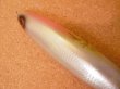 画像3: ワイルドギャンブラー ダイナプラグ 隼 230F 230mm 150g フローティング カラー：WH秋刀魚