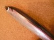 画像3: レプトン D-pen 180HF 180mm 67g フローティング カラー：カタクチ