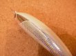 画像3: 魚じゃらし工房 La Gras150 150mm 50g フローティング カラー：ホワイトホロ